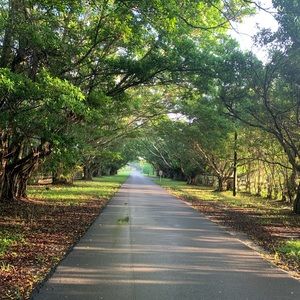 Meet your Posher, Robin